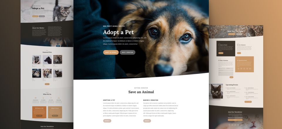 divi-animal-shelter-layout-pack-featured-image-1